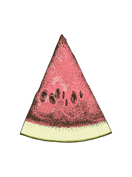 Hand drawn watermelon slice - Vettoriali, immagini