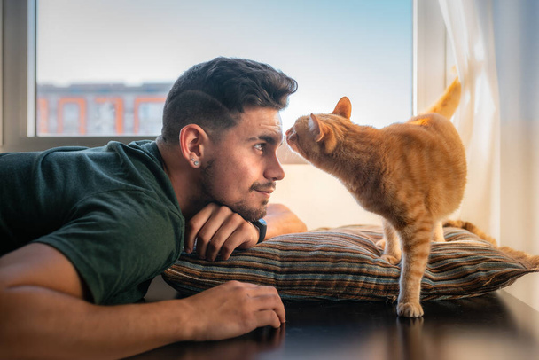 tabby cat cheira a testa de um jovem na frente da janela
 - Foto, Imagem
