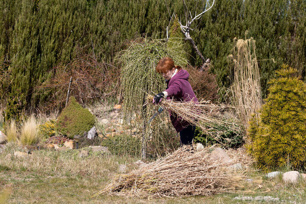 Pile of dry grass. Middle-aged red-haired girl. Cleaning up the recreational plot. Sunny day. - Fotoğraf, Görsel
