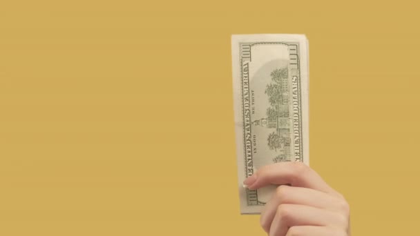 financial stability hand ok set 2 money gestures - Footage, Video