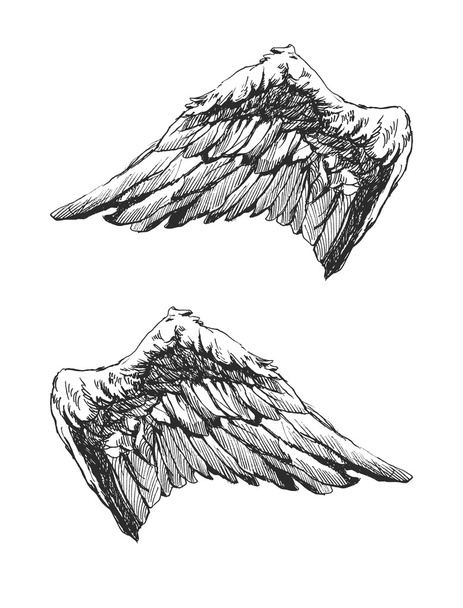 handgezeichnete Engelsflügel Vektor eps8 - Vektor, Bild