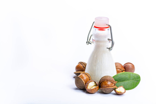 Skin and hair care product, creme or shampoo made from natural macadamia oil in bottle and macadamia nuts isolated on white background copy space - Photo, Image