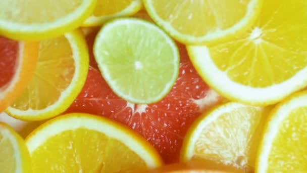 Video van schijfjes citrusvruchten liggend op tafel - Video