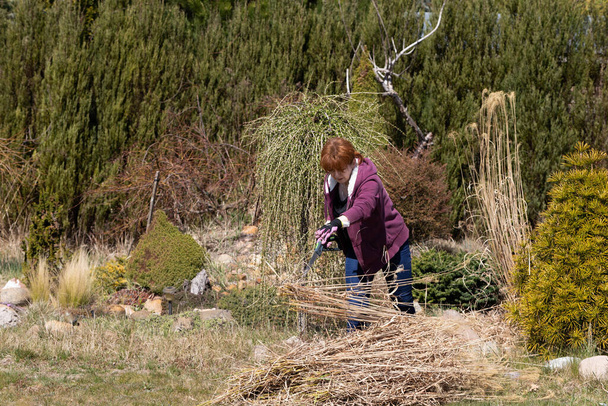 Pile of dry grass. Middle-aged red-haired girl. Cleaning up the recreational plot. Sunny day. - Φωτογραφία, εικόνα