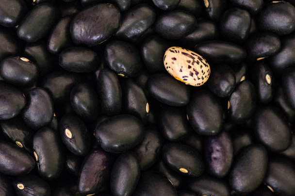 Haricots noirs avec un seul haricot moucheté - Photo, image