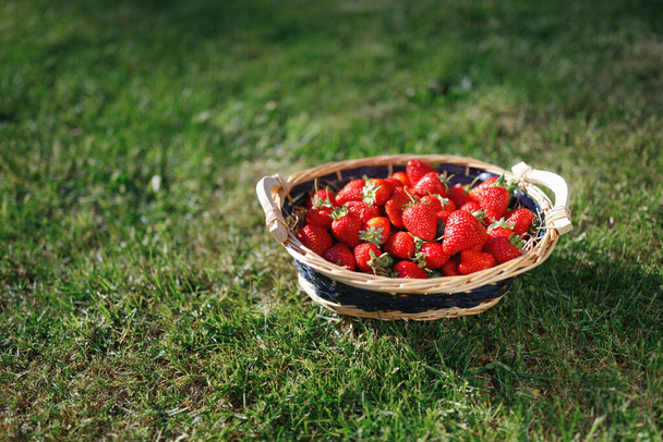 cesta de fresas sobre fondo de césped verde - Foto, imagen
