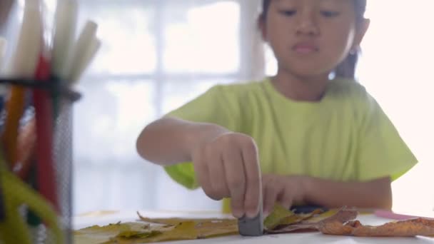 child activity making craft from dry leaves - Materiaali, video