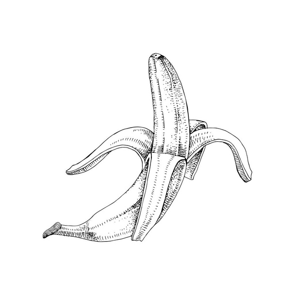 Half peeled hand drawn banana - Vetor, Imagem