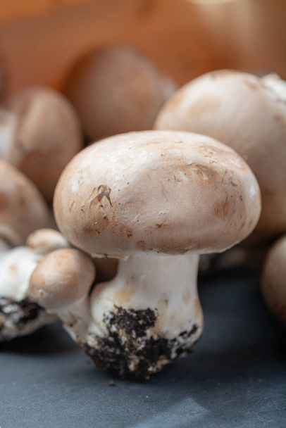 Fresh organic brown chestnut champignons mushrooms with foot from underground caves in Belgium - Photo, Image