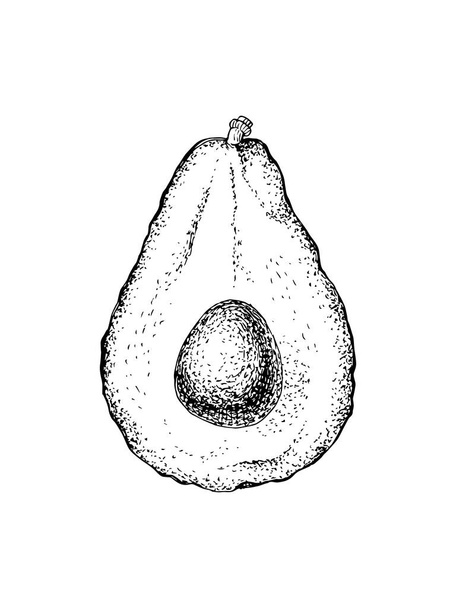 Hand drawn avocado half - Διάνυσμα, εικόνα