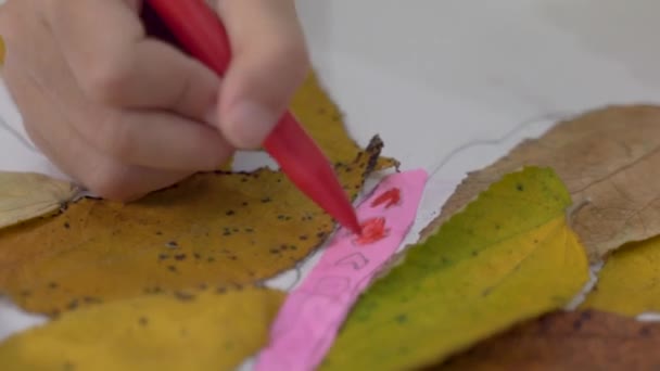 child activity making craft from dry leaves - Felvétel, videó