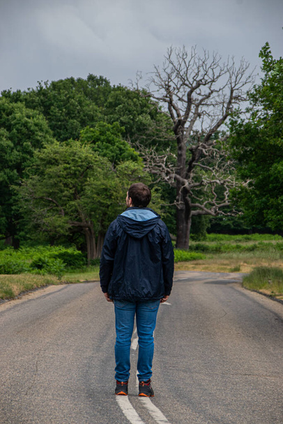 Photo of a young and attractive man walking in the middle of a road in the nature in RIchmon Park, London - Foto, Bild