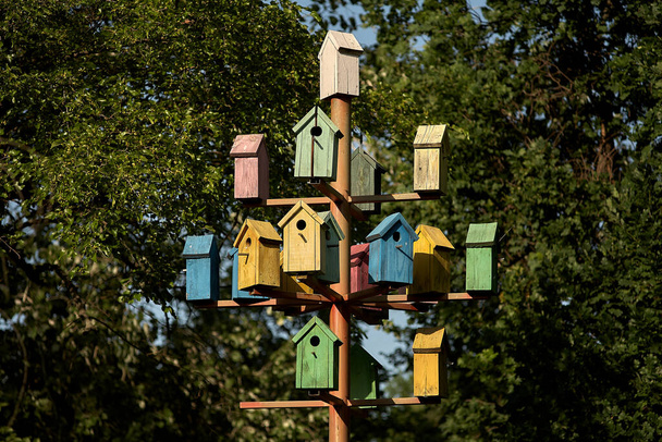 Veel kleurrijke vogelhuisjes op een metalen paal tegen de achtergrond van het park. Het begrip verstedelijking en overbevolking. Heldere veelkleurige houten huizen - vogelhuisjes. - Foto, afbeelding