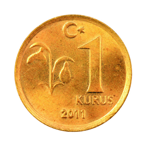 Uma moeda curda turca (Frente) Isolada sobre fundo branco
 - Foto, Imagem