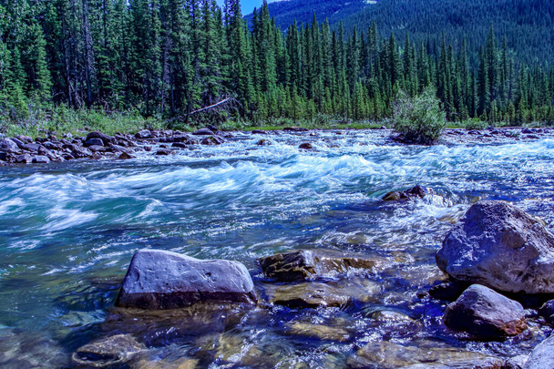 Codo río fluyendo duro y rápido. Zona de recreación provincial del río Codo, Alberta, Canadá - Foto, imagen
