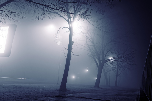 Nebelige Nacht - Foto, Bild