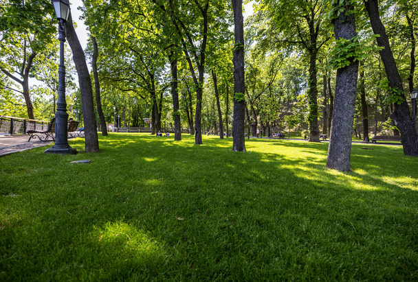КИЕВ, УКРАИНА - 10 июня 2020 г.: Владимирская Горка в Киеве. Молодые люди отдыхают на траве в парке
. - Фото, изображение
