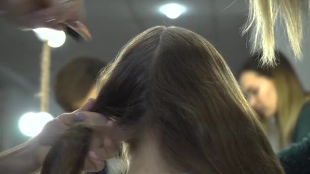 Hairdresser makes pigtails to a girl - Footage, Video