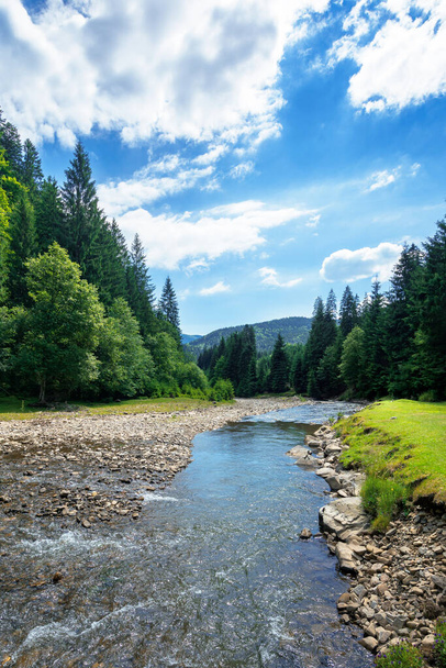 river in the mountain landscape. beautiful nature scenery with water flow among the forest. sunny day with fluffy clouds on the sky - Foto, Bild