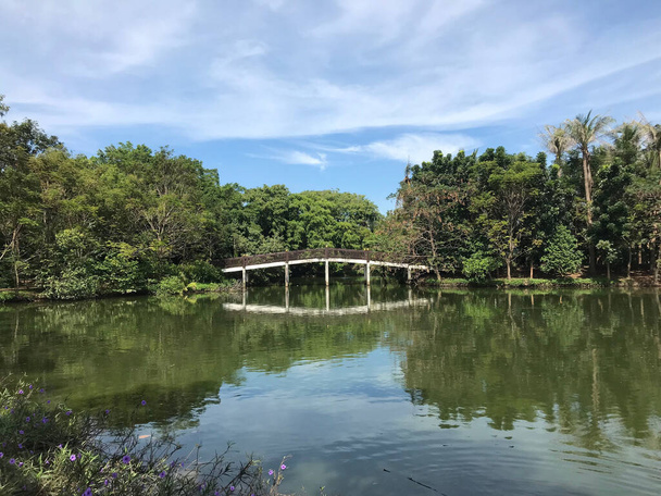 バンコクのSri Nakhon Khuean Khan公園と植物園の橋タイ - 写真・画像