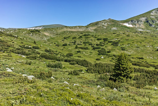 Panorama around Belmeken peak, Rila mountain, Bulgaria - Фото, изображение