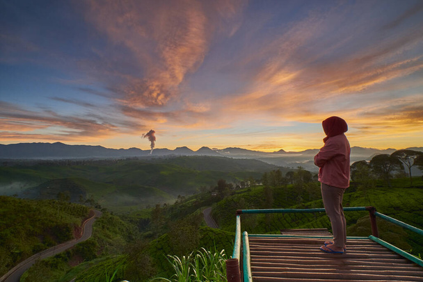 Young woman traveler enjoying dramatic sunrise over a tea plantation in South Bandung, Indonesia - Photo, Image