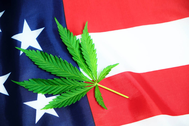 Green hemp leaf on star-spangled banner of United States of America - Valokuva, kuva