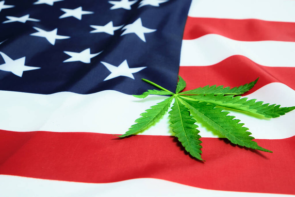 Green hemp leaf on star-spangled banner of United States of America - Фото, зображення