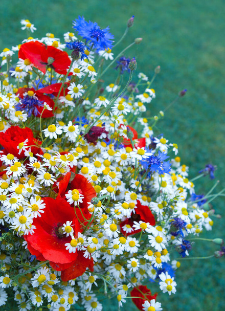 Bouquet de fleurs sauvages avec marguerites et bleuets. - Photo, image