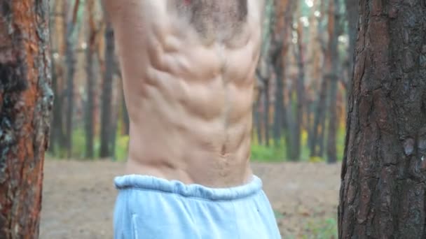 Close up muscular torso of athletic man doing abdominal exercises on horizontal bar. Sportive guy working out at forest. Sportsman training outdoor. Concept of sport and active lifestyle. Slow mo - Footage, Video