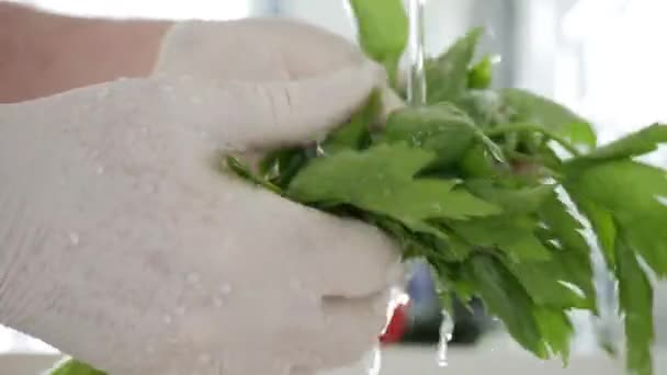 Slow Motion with Man in the Kitchen Wearing Gloves on His Hands Washing a Fresh Bunch of Parsley with Clean Water - Filmagem, Vídeo