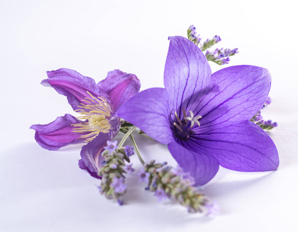 Elegante kleine boutonniere van paarse ballon bloem, vers gesneden bloem decoratie geïsoleerd close-up - Foto, afbeelding