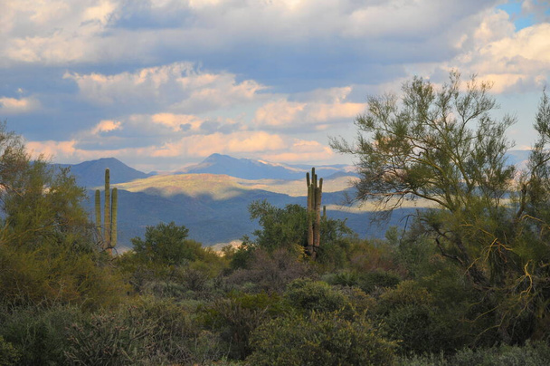 Jelenetek a délnyugati A Sonoran sivatag közelében Phoenix, Arizona  - Fotó, kép