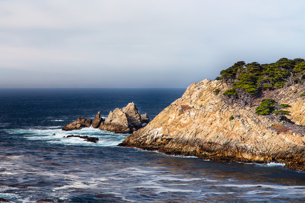 Cyprus Cove au parc Point Lobos
 - Photo, image