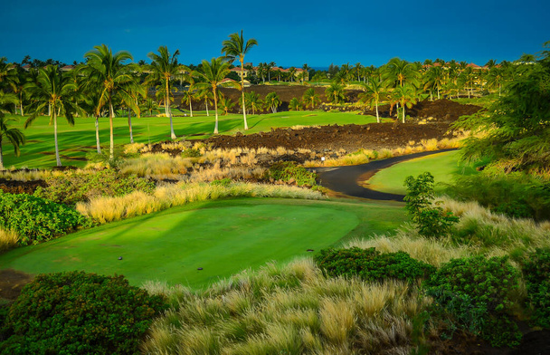  Terrain de golf du village de Waikoloa sur la grande île d'Hawaï. - Photo, image