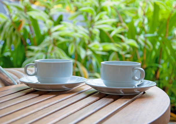 два кавові чашки на тлі природи - Фото, зображення