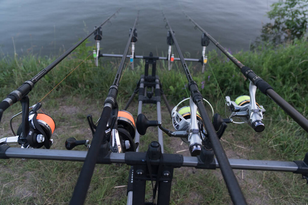 Ein Blick an drei Karpfenruten entlang in Richtung Teich. Karpfenfischen. - Foto, Bild