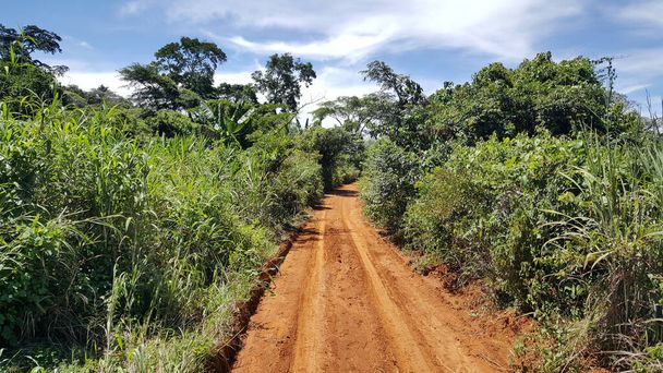 Road towards Djampa in Cameroon - Photo, Image