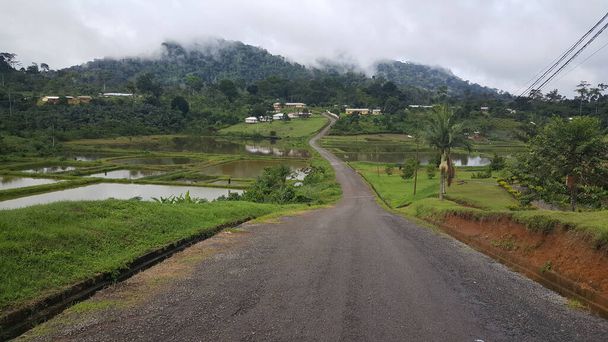 Straße in die Stadt Mvila, Kamerun - Foto, Bild