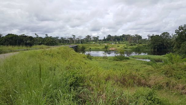 Rivière à la frontière du Gabon et du Cameroun en Afrique
 - Photo, image
