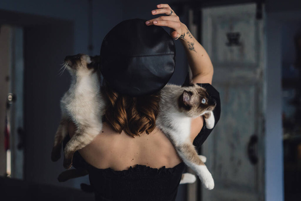 Frau mit zwei siamesischen Katzen - Foto, Bild