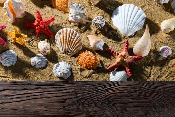 Solid wooden platform. A sandy beach where empty snail shells lie. Sea shore. - Fotoğraf, Görsel