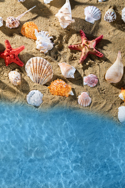 Bright blue sea waves wash the sandy beach full of empty snail shells. - 写真・画像