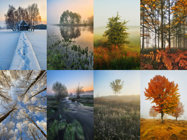 Collage der vier Jahreszeiten - Frühling, Sommer, Herbst, Winter - Foto, Bild