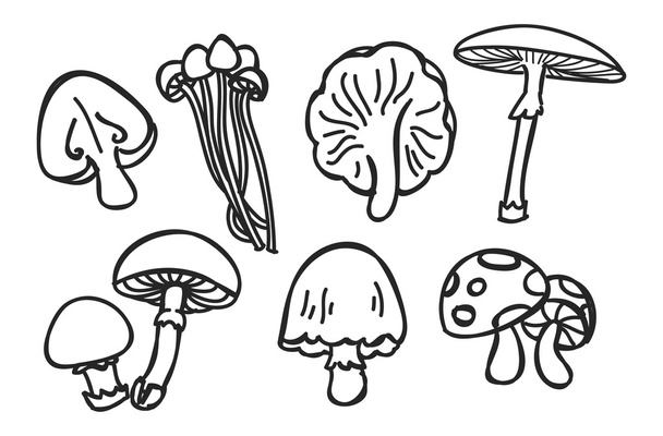 Various mushroom in doodle style - Vektor, obrázek