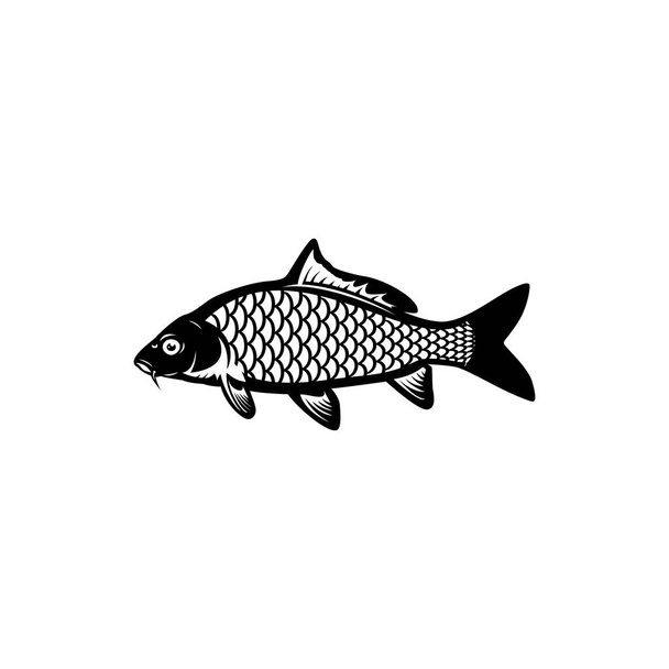 αλιεία κυπρίνων, λογότυπο ψαριών - Διάνυσμα, εικόνα
