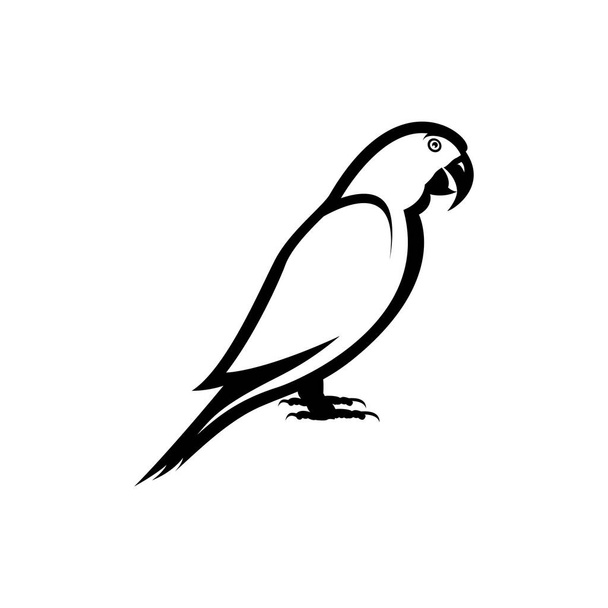 Tropical parrot silhouette. Vector design isolated elements on the white background. parrot logo - Vector, Image