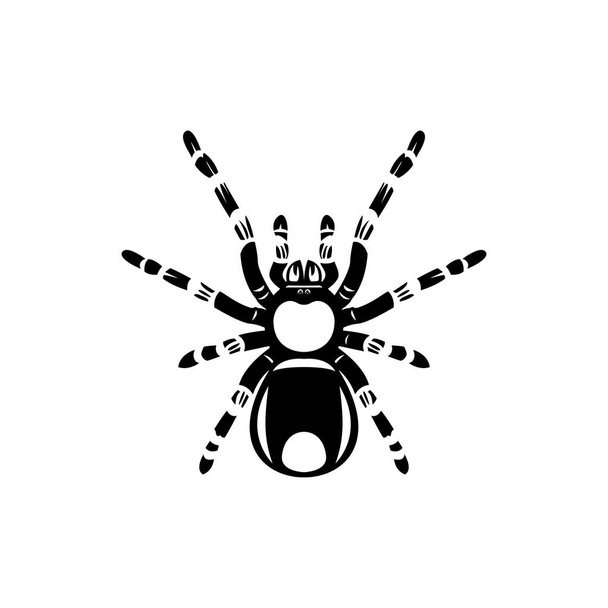 Силует чорного павука, крупним планом павук, лякаючий великий павук ізольований на білому, отруйний ісект, арахнофобія фон, векторна піктограма павука
 - Вектор, зображення