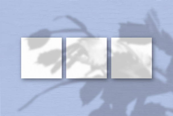 3 fogli quadrati di carta bianca strutturata sullo sfondo della parete blu. Il Mockup si sovrappone alle ombre delle piante. La luce naturale getta ombre da uno zygocactus.Flat posa, vista dall'alto. Orientamento orizzontale - Foto, immagini