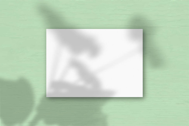Un foglio A4 orizzontale di carta strutturata bianca sullo sfondo della parete verde. Il Mockup si sovrappone alle ombre delle piante. La luce naturale getta ombre dai gerani. Posa piatta, vista dall'alto. Orizzonte - Foto, immagini